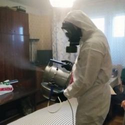 Дезинфекция от клопов в Бугульме